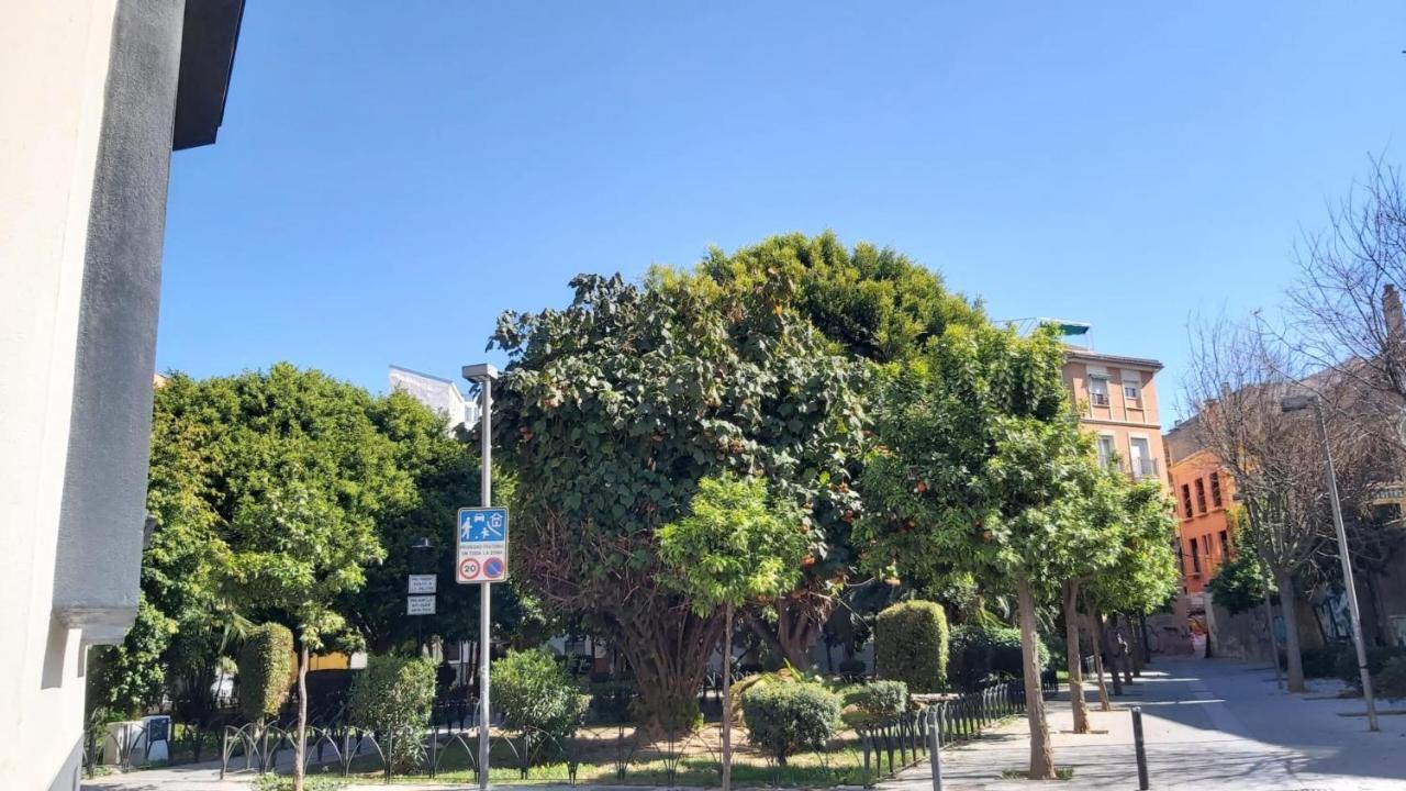 דירות מאלגה Del Parque Flats Urban Adults Luxury מראה חיצוני תמונה