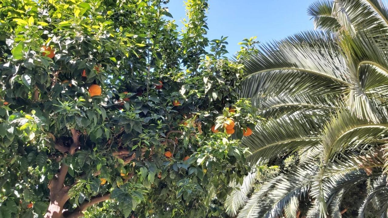 דירות מאלגה Del Parque Flats Urban Adults Luxury מראה חיצוני תמונה